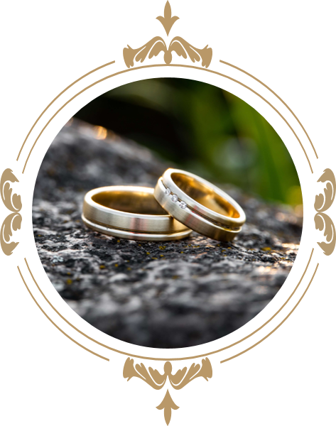 cincin-1.png cincin-1.png